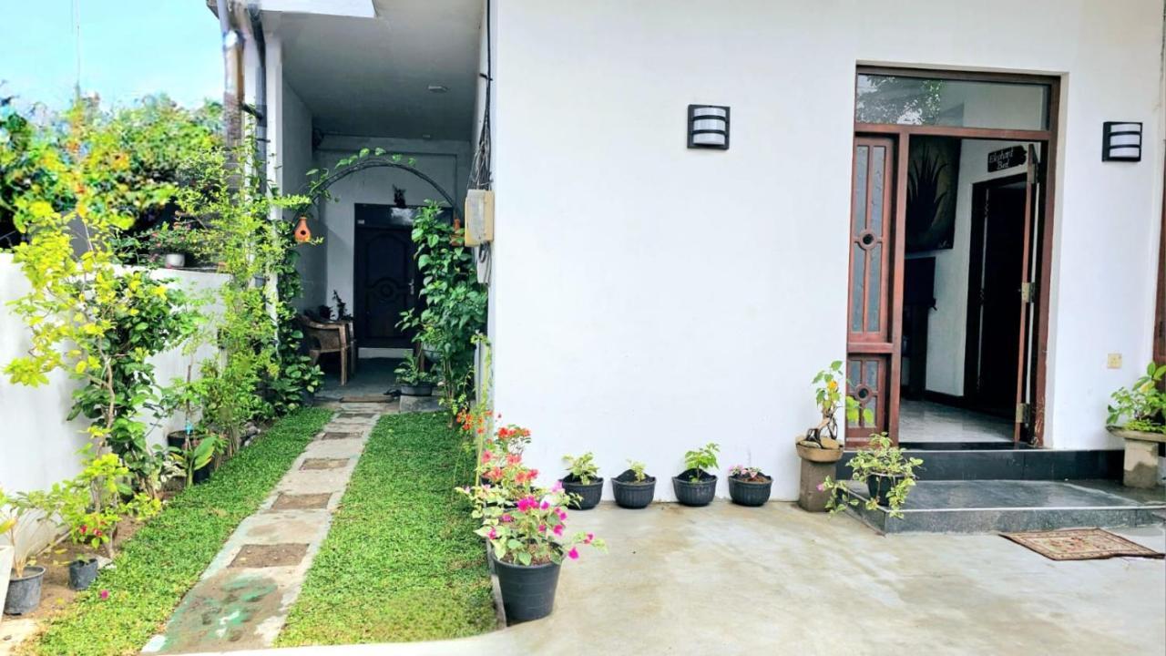 Aloe Vera Villa Негомбо Екстериор снимка